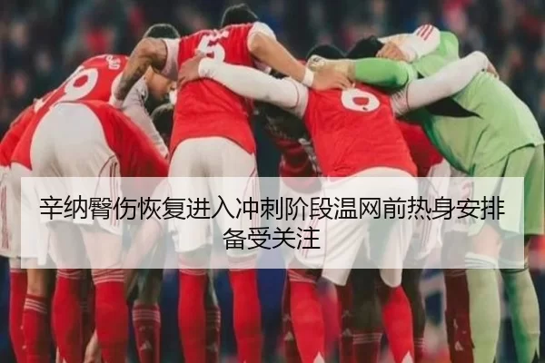 辛纳臀伤恢复进入冲刺阶段温网前热身安排备受关注